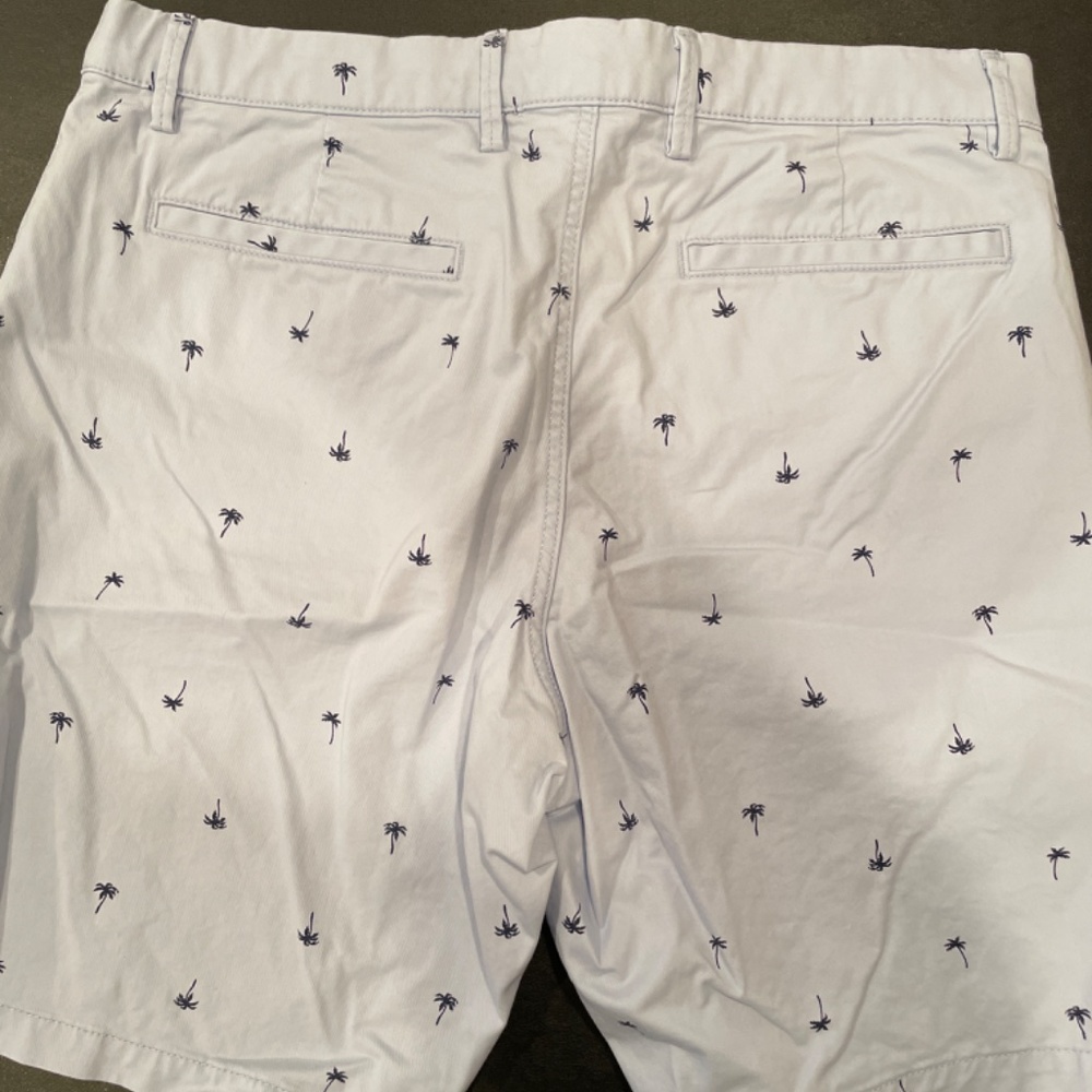 Gap Shorts - Picture 3 of 3
